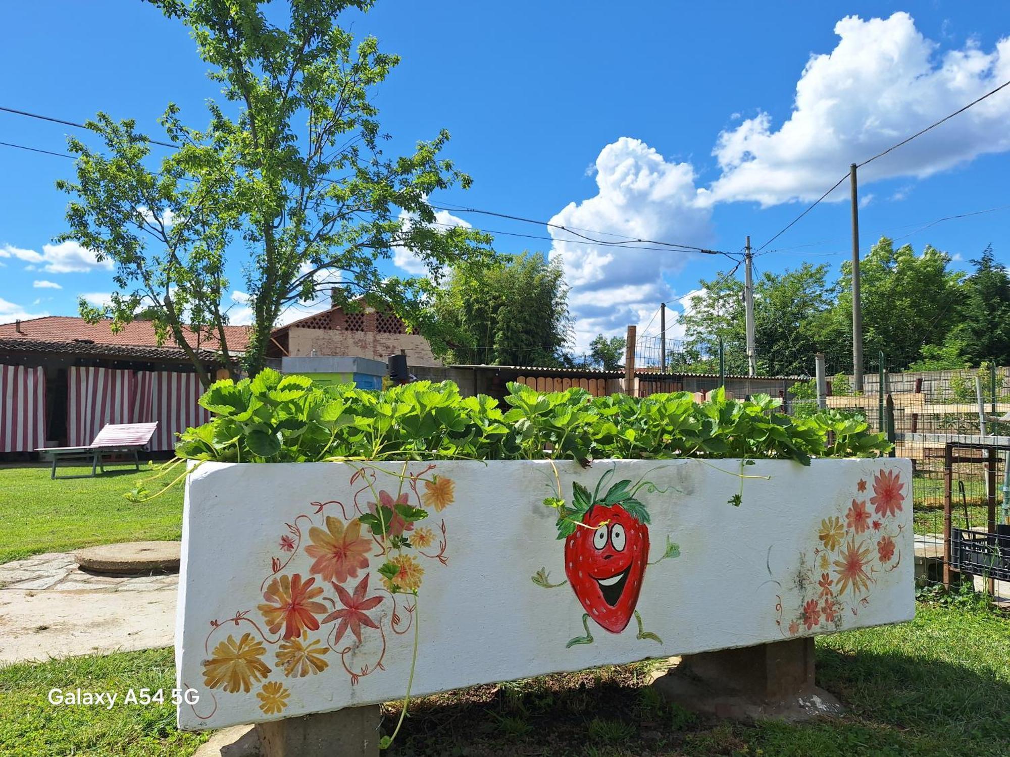 Вілла Casa Matilde Leini Екстер'єр фото