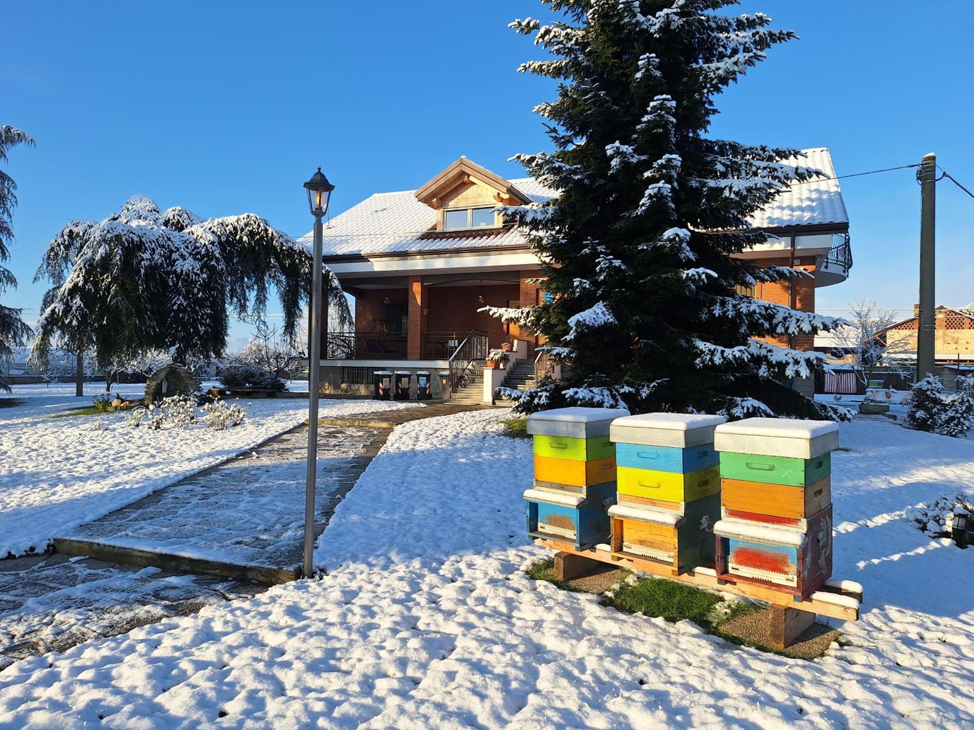 Вілла Casa Matilde Leini Екстер'єр фото